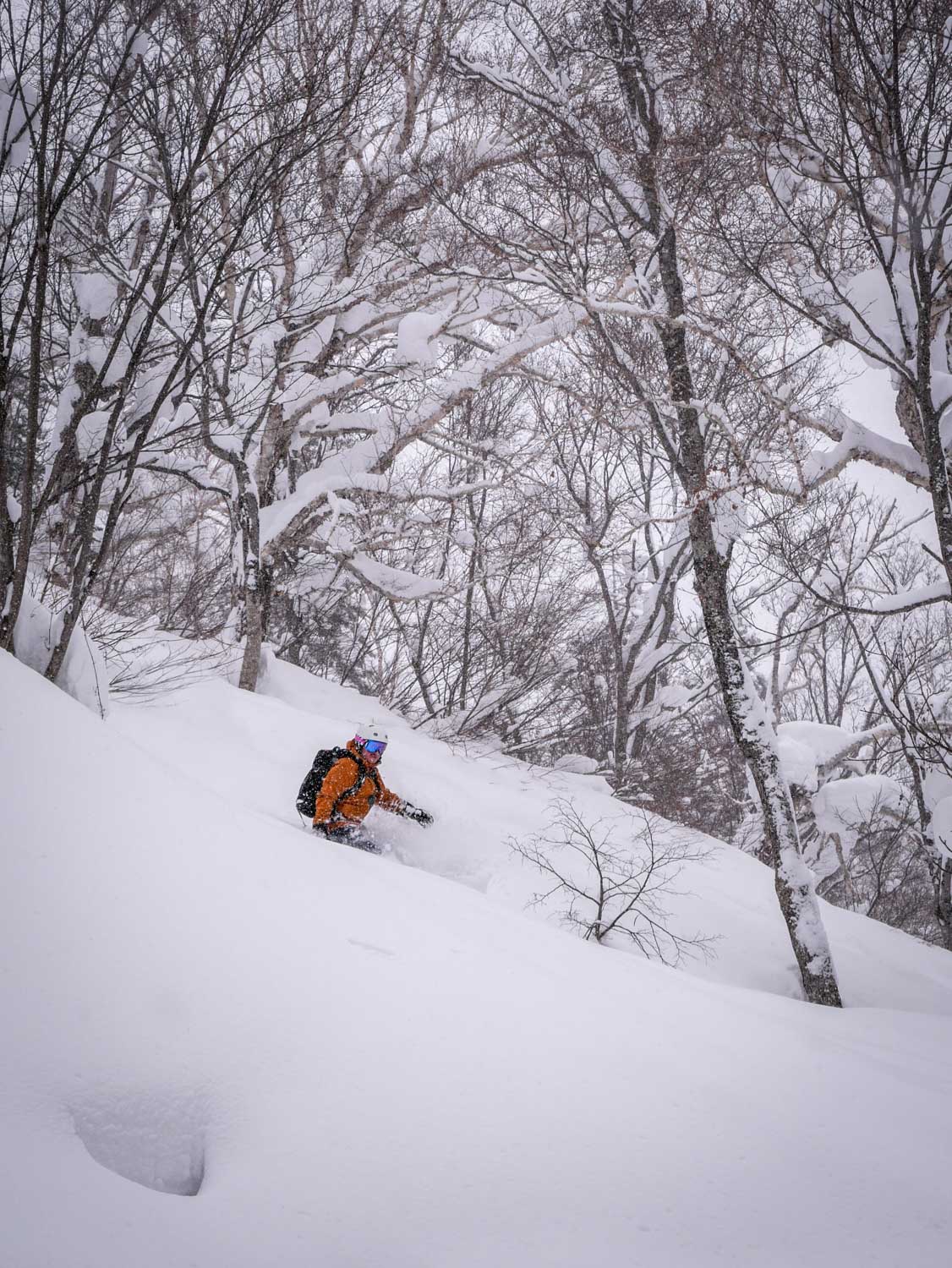 Too much powder for a snowboard in Japan
